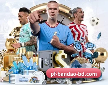 半岛体育平台 APP(BANDAO SPORTS)